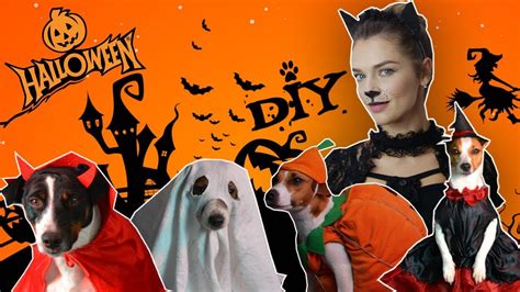 КОСТЮМЫ НА ХЕЛЛОУИН ДЛЯ СОБАК | ОТМЕЧАЕМ HALLOWEEN ВМЕСТЕ С ДОМАШНИМИ ...