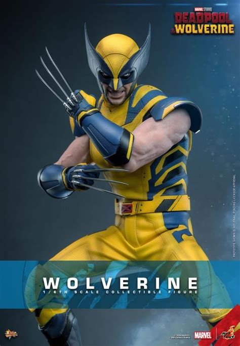 Pre Order Hot Toys Wolverine Deadpool And Wolverine Ver Collector Edition