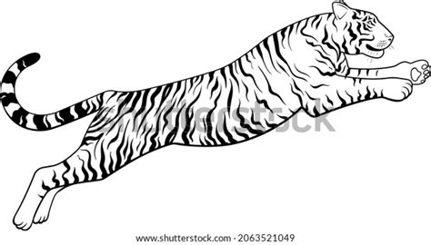 Tiger Pouncing Drawing