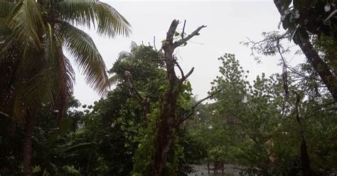 Bhola needs more cyclone shelters as survivors recall horrific night of ...