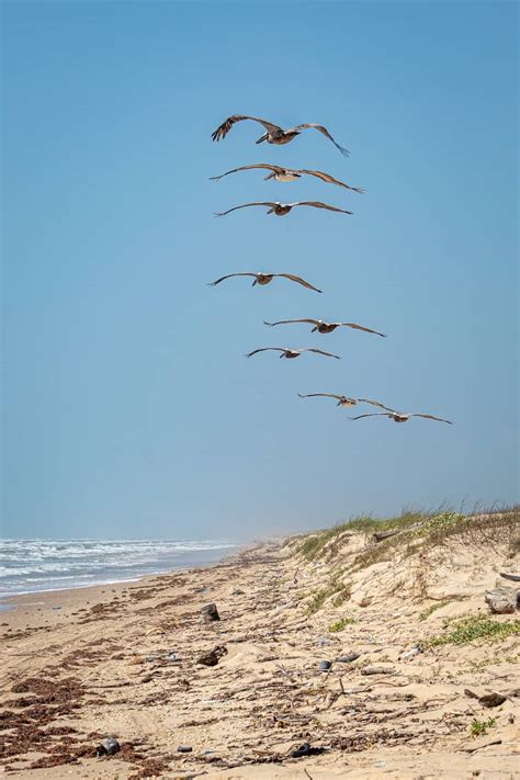 Top Beach RV Parks in Corpus Christi, TX - Cruise America