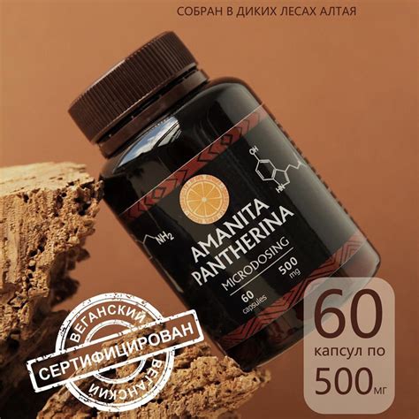 МИКРОДОЗИНГ ПАНТЕРНОГО МУХОМОРА 60 КАПСУЛ ПО 500 МГ