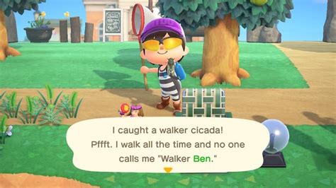 Here Are All The Fish Bugs And Critters In Animal Crossing New