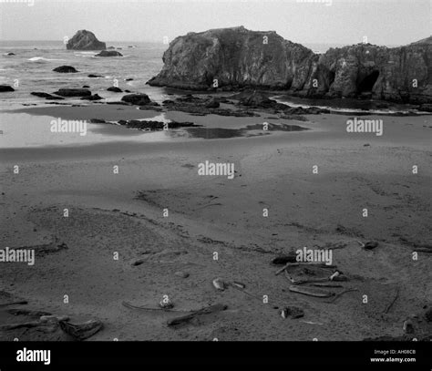 Bandon Beach Oregon Stock Photo - Alamy