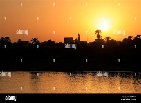 Silhouette Of Palm Trees And Buildings Along Nile River Against Orange