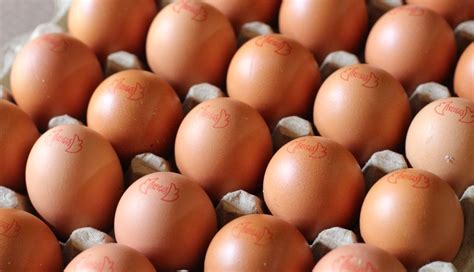 Los huevos plátanos y pollos agroecológicos son una alta contribución