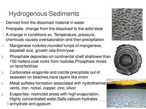 Marine Sediments Eroded Particles And Fragments Of Dust Dirt And Other