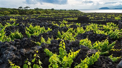 The Azores: Nine island gems with a volcanic past and a magical present ...