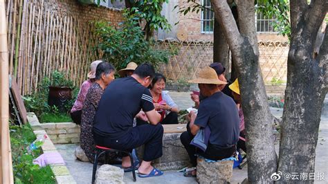 逐梦绿美 好在文山丨文山市里布嘎村：一个城中村的“逆袭”财经头条