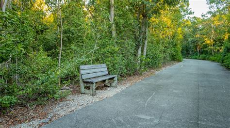 Dagny Johnson Key Largo Hammock Botanical State Park Tours Book Now