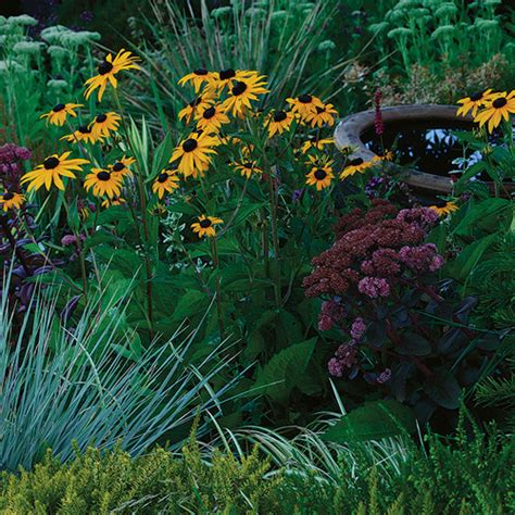 Black Plants Done Right - Fine Gardening