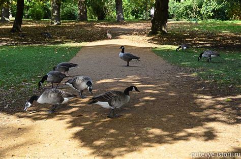 Королевские ботанические Сады Кью (Kew Gardens) в Лондоне