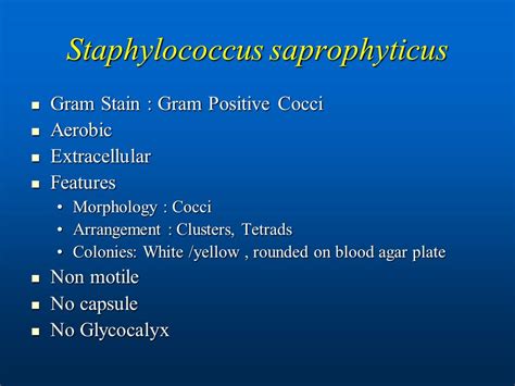 Staphylococcus Saprophyticus Gram Stain