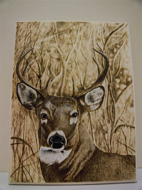 Whitetail Deer Wood Burning By Dustindattilioart On Deviantart