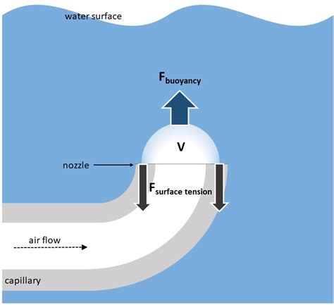 Schematic Representation Of Forces Affecting A Bubble At The Capillary