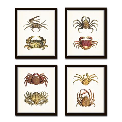 Vintage Crabs Print Set No 1 Crab Prints Wall Art Art Etsy