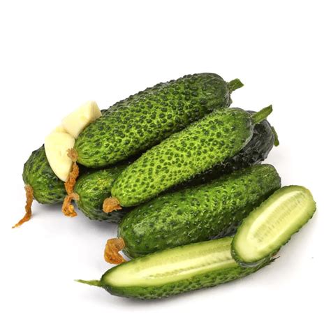 Огурцы малосольные от Маслюковой season market 500 г - купить с ...