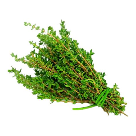 Buy Thyme Fresh Per Pack Online From Fresh Herbs Seasonings Store