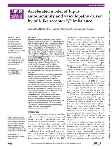 Pdf Accelerated Model Of Lupus Autoimmunity And Vasculopathy Tlr