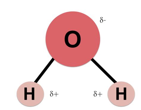 Cómo Está Formada La Molécula De Agua Estructura Y Enlaces