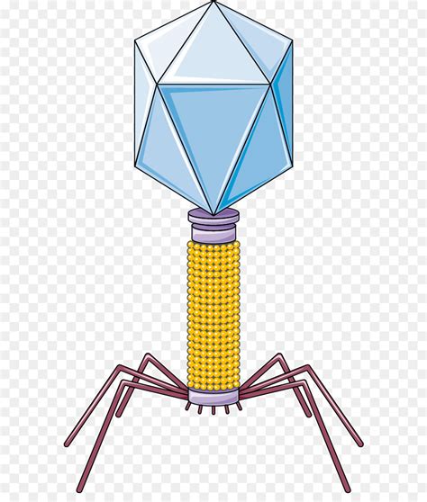 Bacteriophage Virus Animation