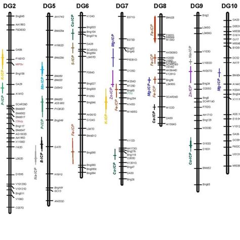 Genetic Linkage Map Showing Quantitative Trait Loci Qtl For Elements