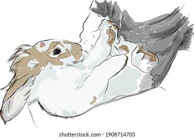 Bunny Human Hand Drawn Illustration Stock Illustration 1908714703 ...