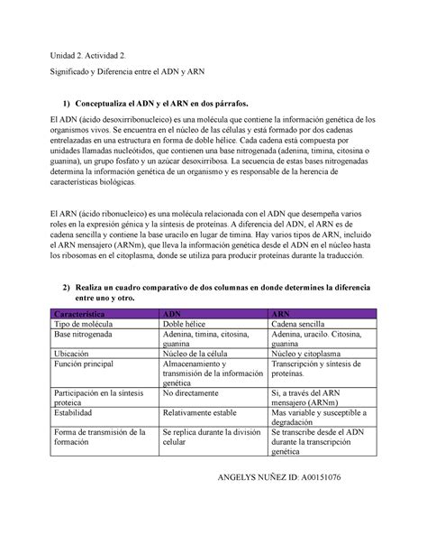 Significado Y Diferencia Entre El ADN Y ARN Unidad 2 Actividad 2