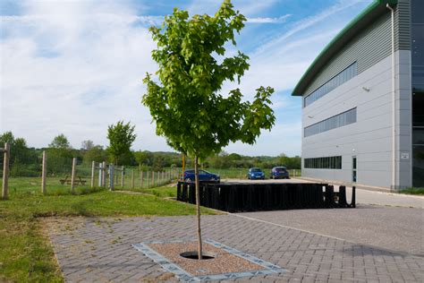 Trees & Water Sensitive Urban Design