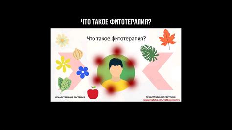 Что такое фитотерапия? #терапия #фитотерапия #народнаямедицина # ...