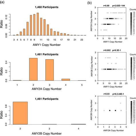 Histogram Of Amy Amy A And Amy B Copy Number Variations And Their