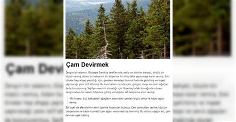 Am Devirmek Deyiminin Anlam Ve Hikayesi