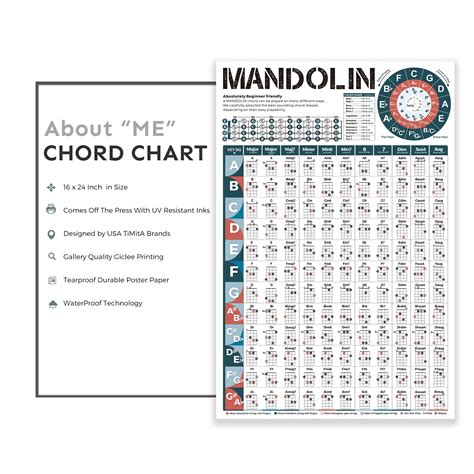 Mandolin Chord Chart Poster X Wall Chart For Comprehensive