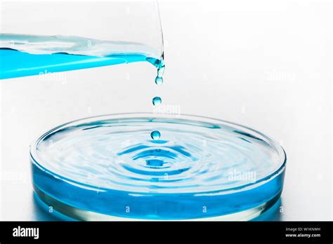 Pouring Blue Liquid From Laboratory Flask Into Petri Dish The Concept