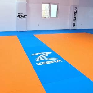 Martial Arts Training Facility Mats ZEBRA Athletics Europe