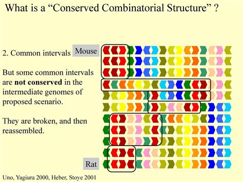 Conservation Of Combinatorial Structures In Evolution Scenarios Ppt