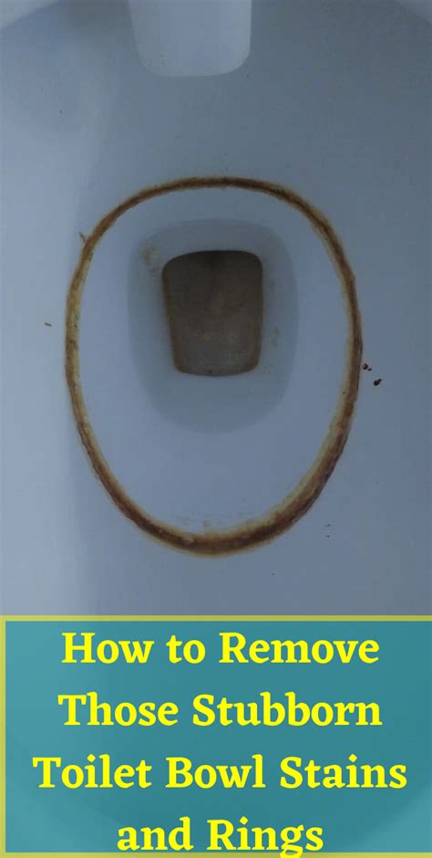 How To Get Rid Of A Toilet Ring Without Scratching The Bowl Toilet