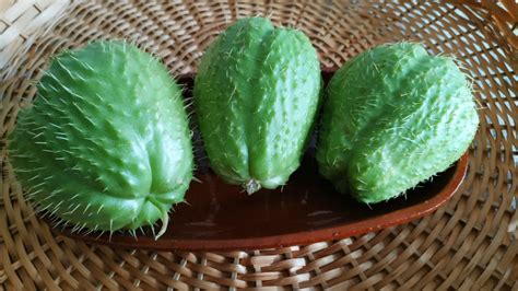 Arriba Imagen Chayote En Argentina Recetas Abzlocal Mx