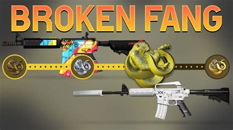 CS GO NEW Operation Broken Fang Case ALL SKINS SHOWCASE YouTube