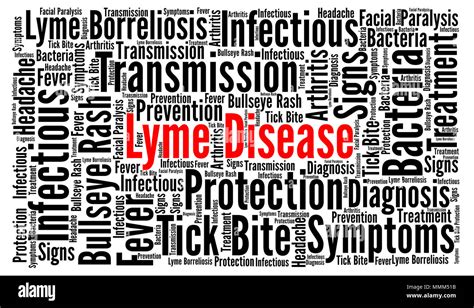 Lyme Disease Word Cloud Illustration Stock Photo Alamy