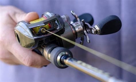 Best Catfish Reels The Ultimate Buyers Guide Fishing Tackle Hub