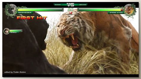 Bagheera Vs Shere Khan With Healthbars Youtube