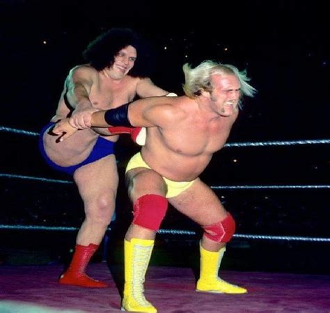 Hulk Hogan Andre the Giant - Wrestling News Plus