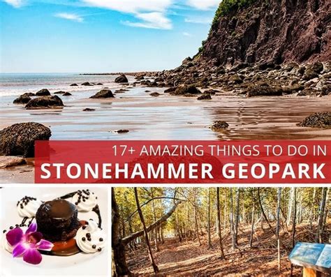 17 Amazing Things To Do In Stonehammer Geopark Saint John New