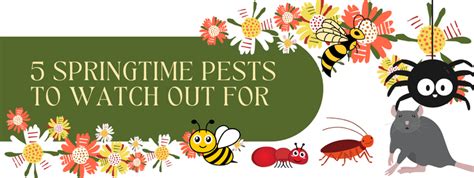 Springtime Pests To Watch Out For