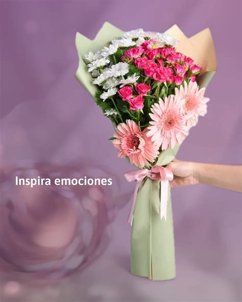 LolaFlora México (@lolaflora_mexico) • Instagram photos and videos