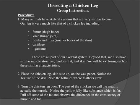 Ppt Dissecting A Chicken Leg Powerpoint Presentation Free Download