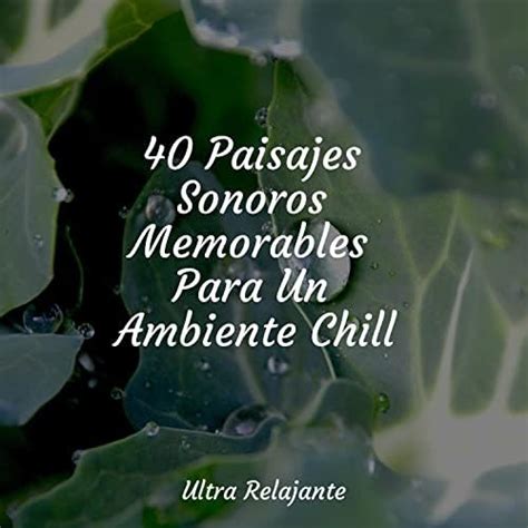 40 Paisajes Sonoros Memorables Para Un Ambiente Chill By Lluvia PQ