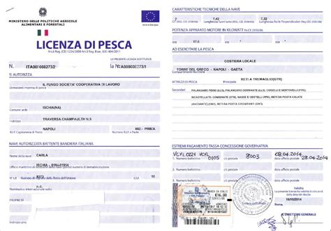 Vendesi Licenza Di Pesca A Napoli Campania AAAnnunci It