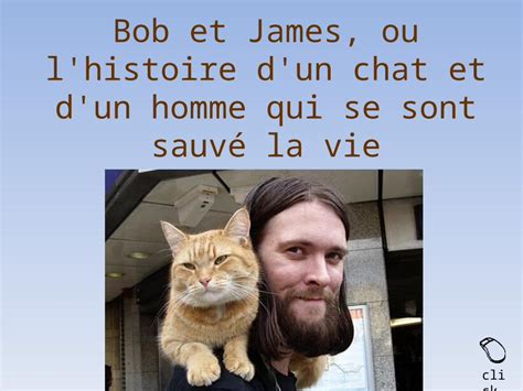 Ppt Bob Et James Ou L Histoire D Un Chat Et D Un Homme Qui Se Sont